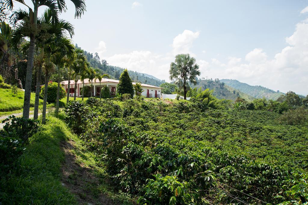 Hacienda Venecia Coffee Farm Hotel San Peregrino Room photo